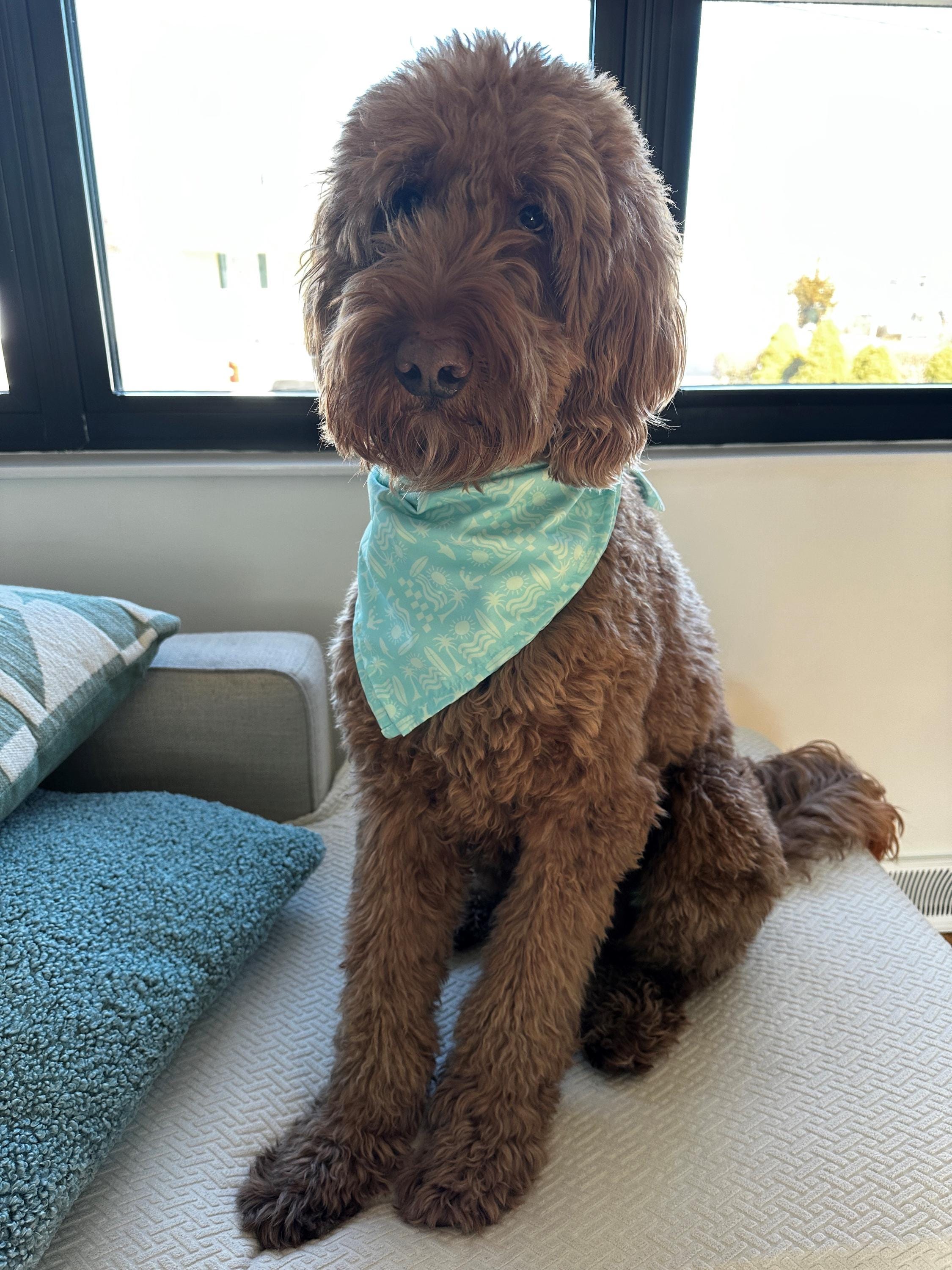Surfer Print Doggy Bandana